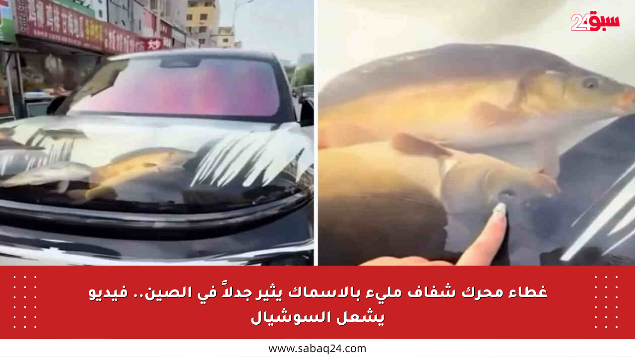 غطاء محرك شفاف مليء بالأسماك يثير جدلاً في الصين.. فيديو يشعل السوشيال